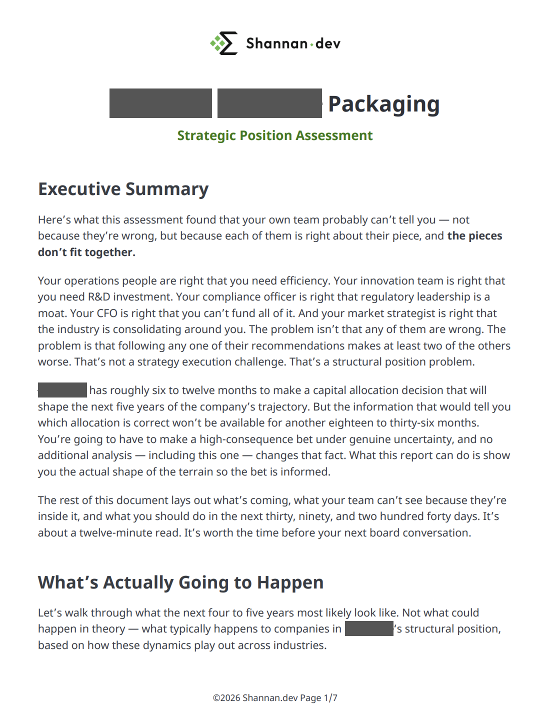 Strategic decision sample report